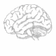 brain-framework MCP Server Logo