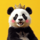xiaozhi-openclaw-sample MCP Server Logo