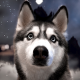 localdot MCP Server Logo