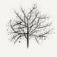 dsh-skill-mcp-manager MCP Server Logo