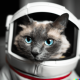 comfyui-mcp MCP Server Logo