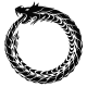 astra-browser MCP Server Logo