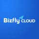 bizflycloud-mcp-server MCP Server Logo