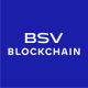 bsv-mcp MCP Server Logo