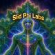 SlidPhiLabs MCP Server Logo