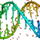 ensembl-mcp MCP Server Logo