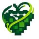 webify-mcp MCP Server Logo