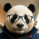 mcp-odoo-panda MCP Server Logo