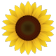 mcp-night MCP Server Logo