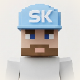 skills MCP Server Logo